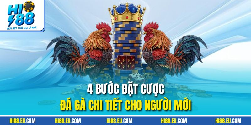 4 bước đặt cược đá gà chi tiết cho người mới