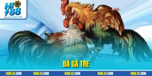 Đá Gà Tre Tại HI88 - Trải Nghiệm Cược Trực Tuyến Kịch Tính