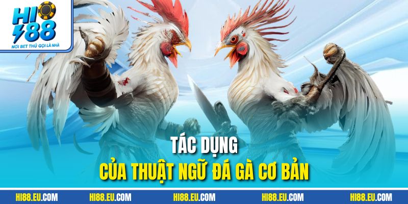 Tác dụng của thuật ngữ đá gà cơ bản