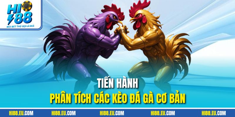 Tiến hành phân tích các kèo đá gà cơ bản