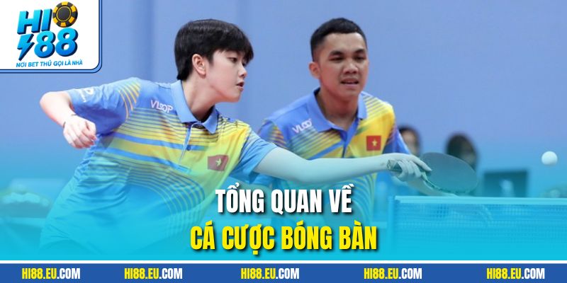 Tổng quan về cá cược bóng bàn 