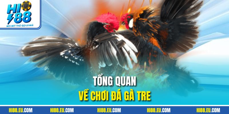 Tổng quan về chơi đá gà tre